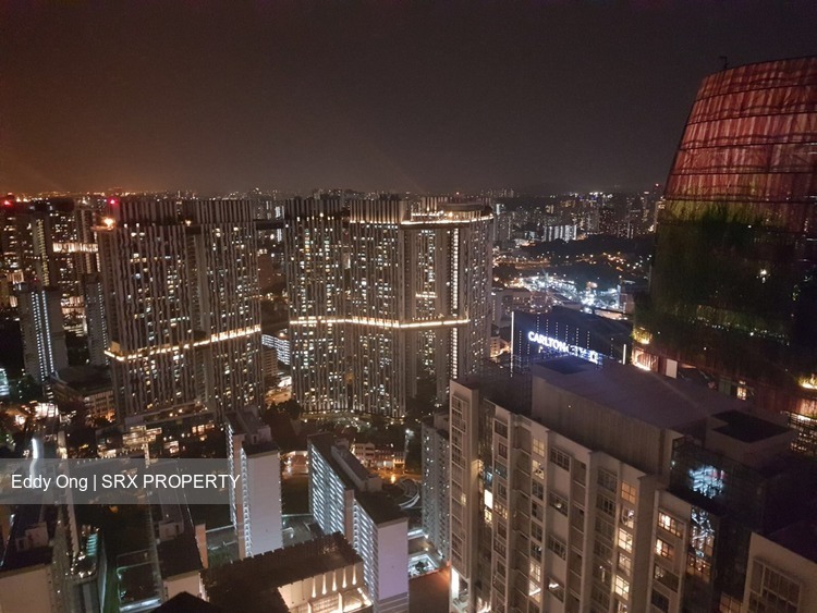 Skysuites@Anson (D2), Apartment #176563202